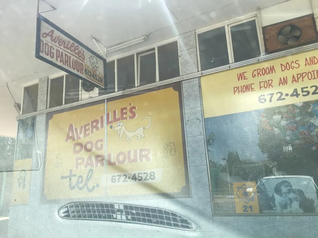 Averille Dog and Cat Palour in Florida