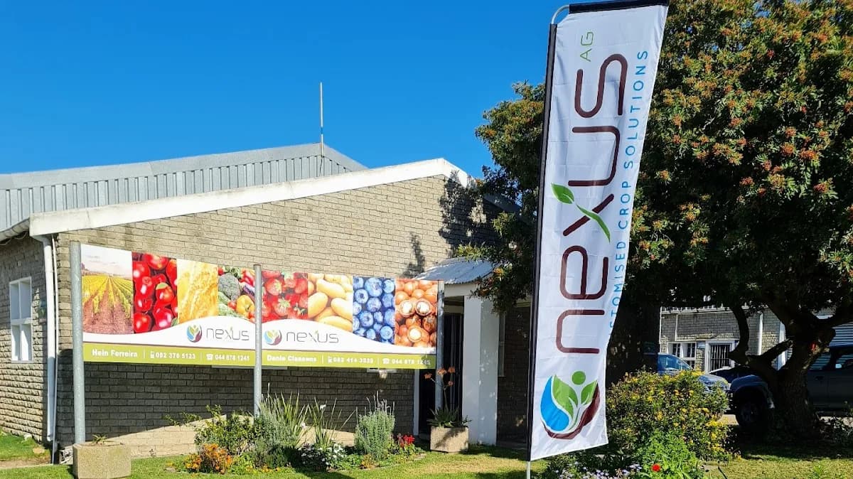 Nexus AG in George South