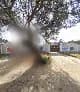 Life Line - Free State in Riebeeckstad
