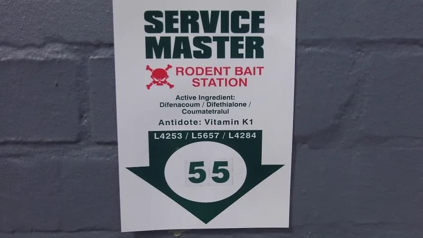 Service Master - Pest Control and Window Cleaning Services in Morningside