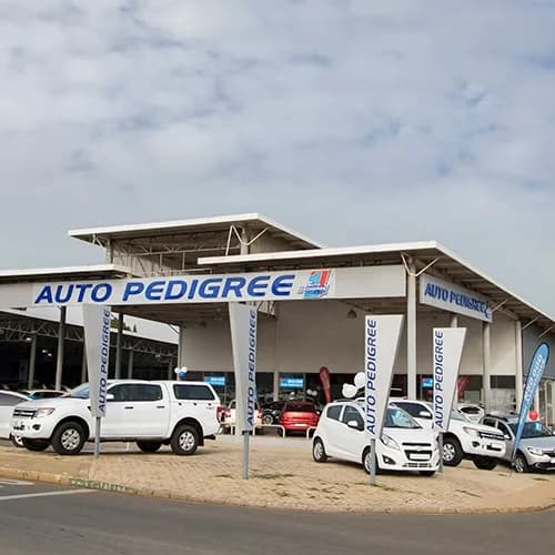 Auto Pedigree Kempton Park in Kempton Park