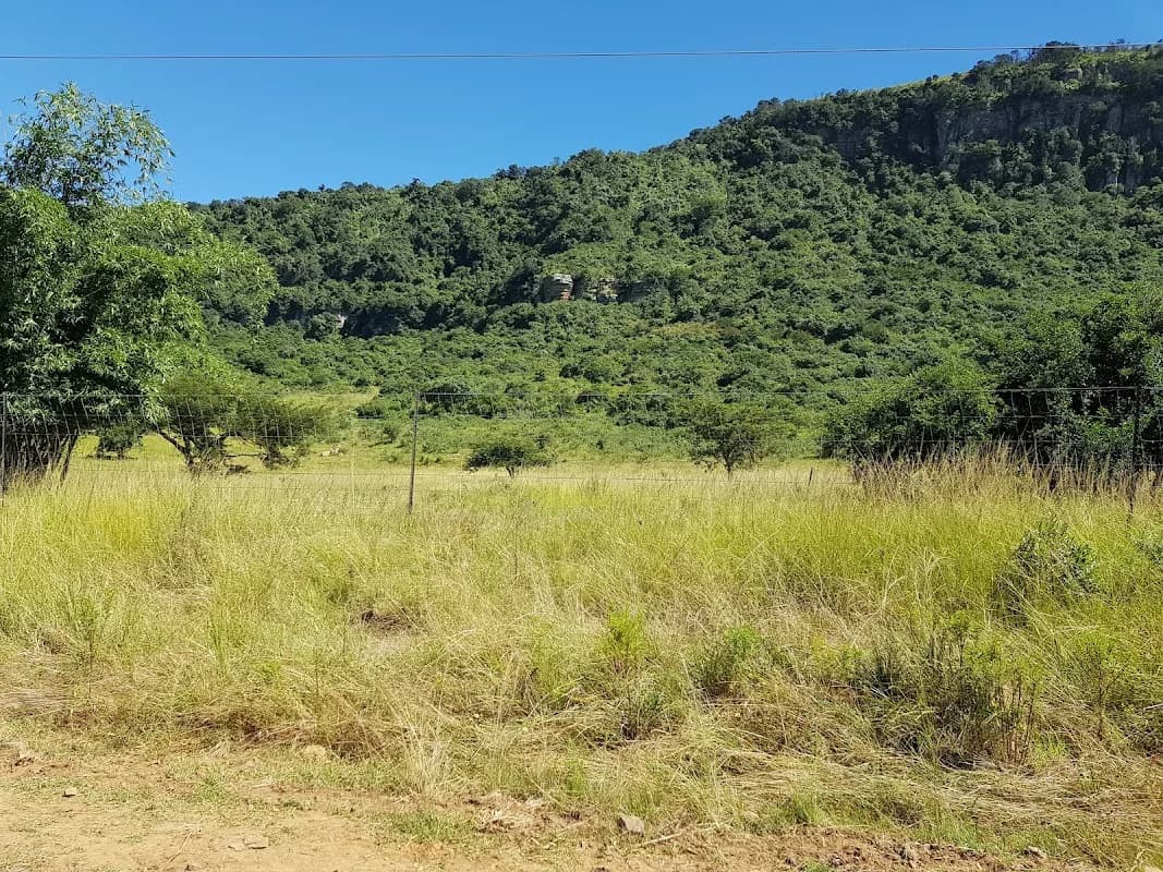 Siphesihle Primary School in Madadeni