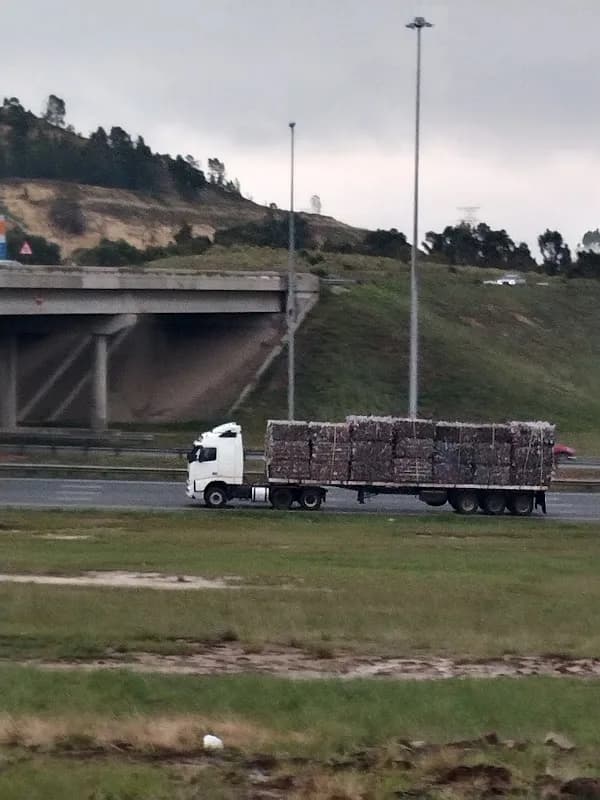 Translux Express in Thabong