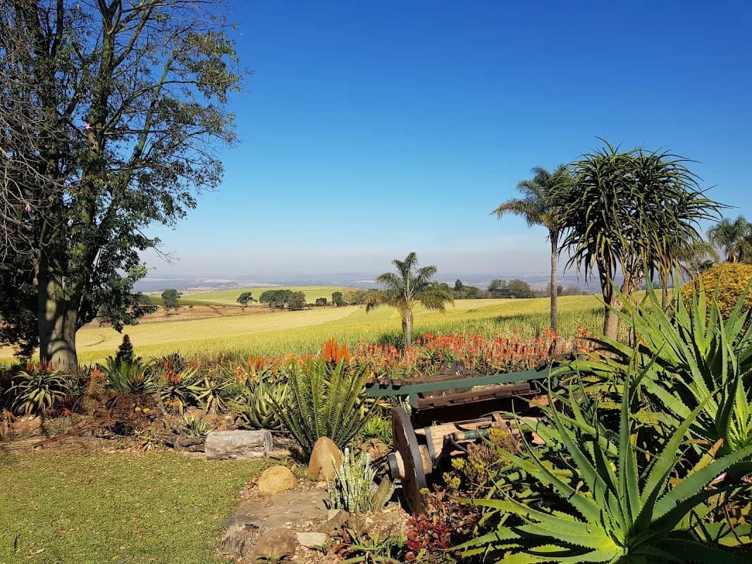 Hackland Aloe Garden in Pietermaritzburg CBD