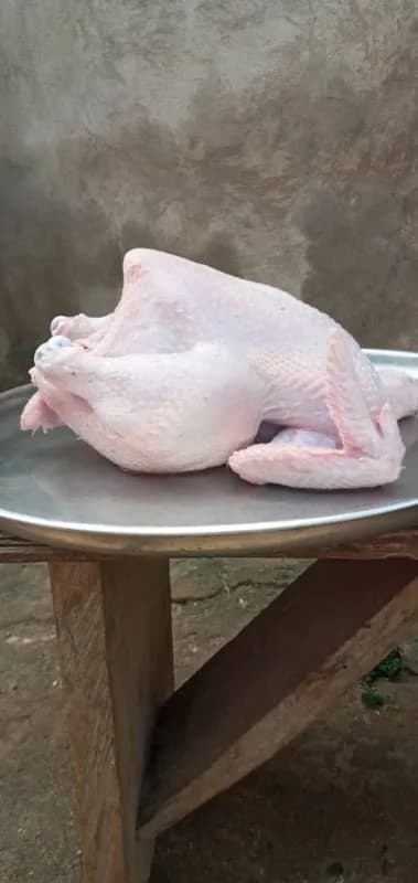 Sammyp Agro Farm in Bwari