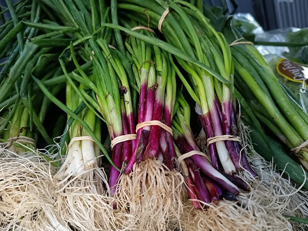 Good Food Farm in George CBD
