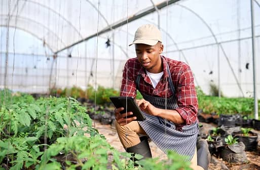 Agricultural Marketer in Haenertsburg