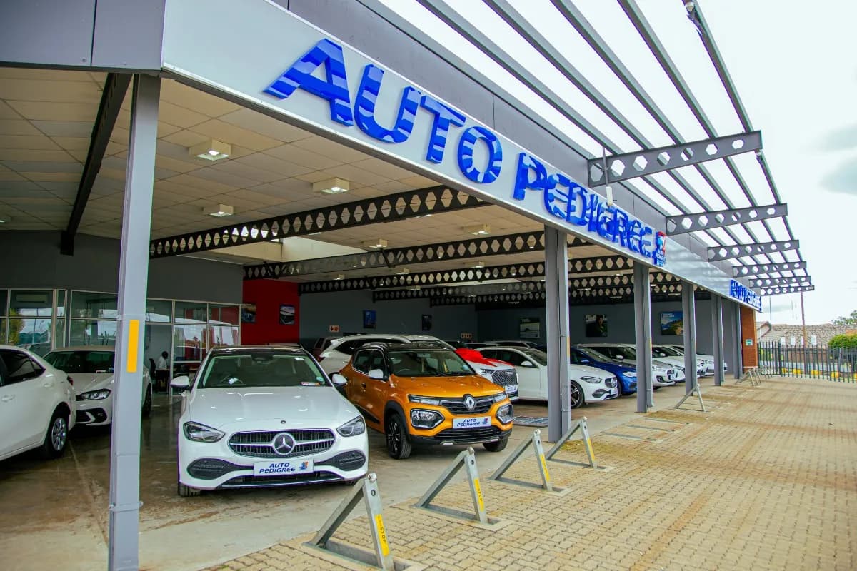 Auto Pedigree Secunda in Secunda CBD
