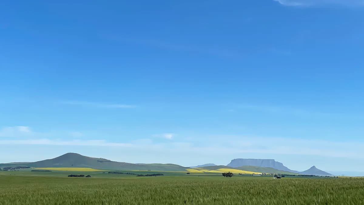Van Der Berg & Associates in Green Point