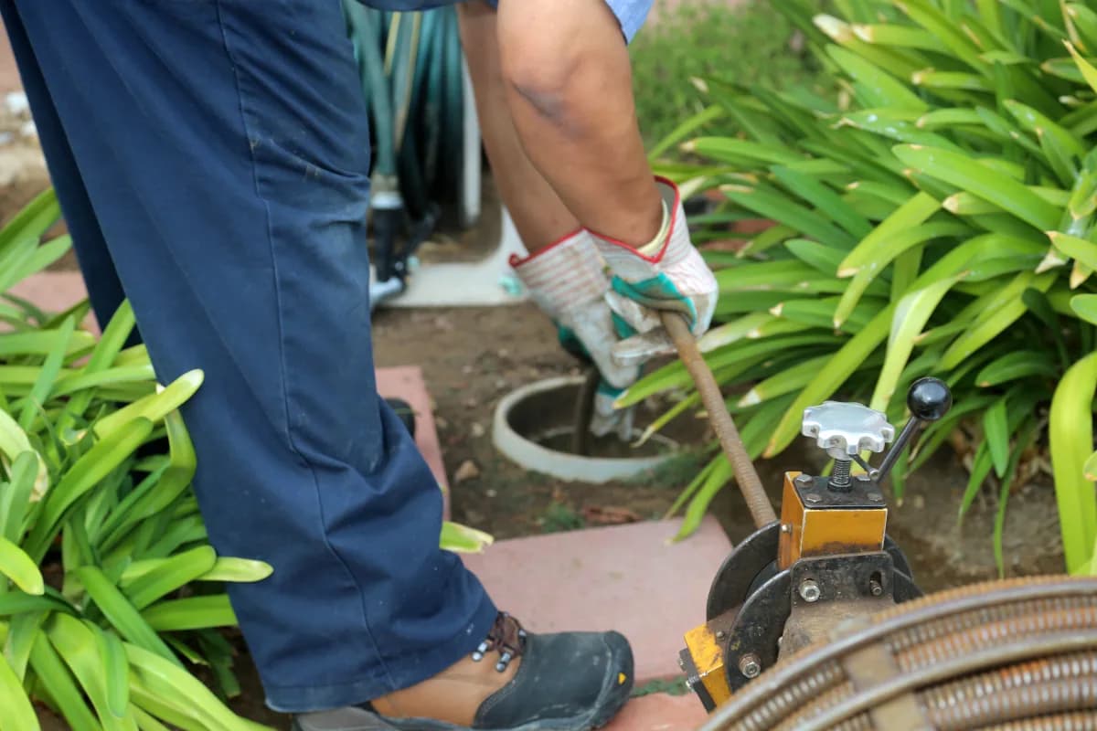 Drain Savers in Rynfield
