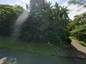 PC MANAGEMENT SERVICES (PTY) LTD in Pinetown