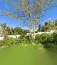 LYNCH RECRUIT in Constantia