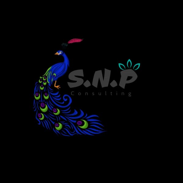 SNP Consulting in Phoenix
