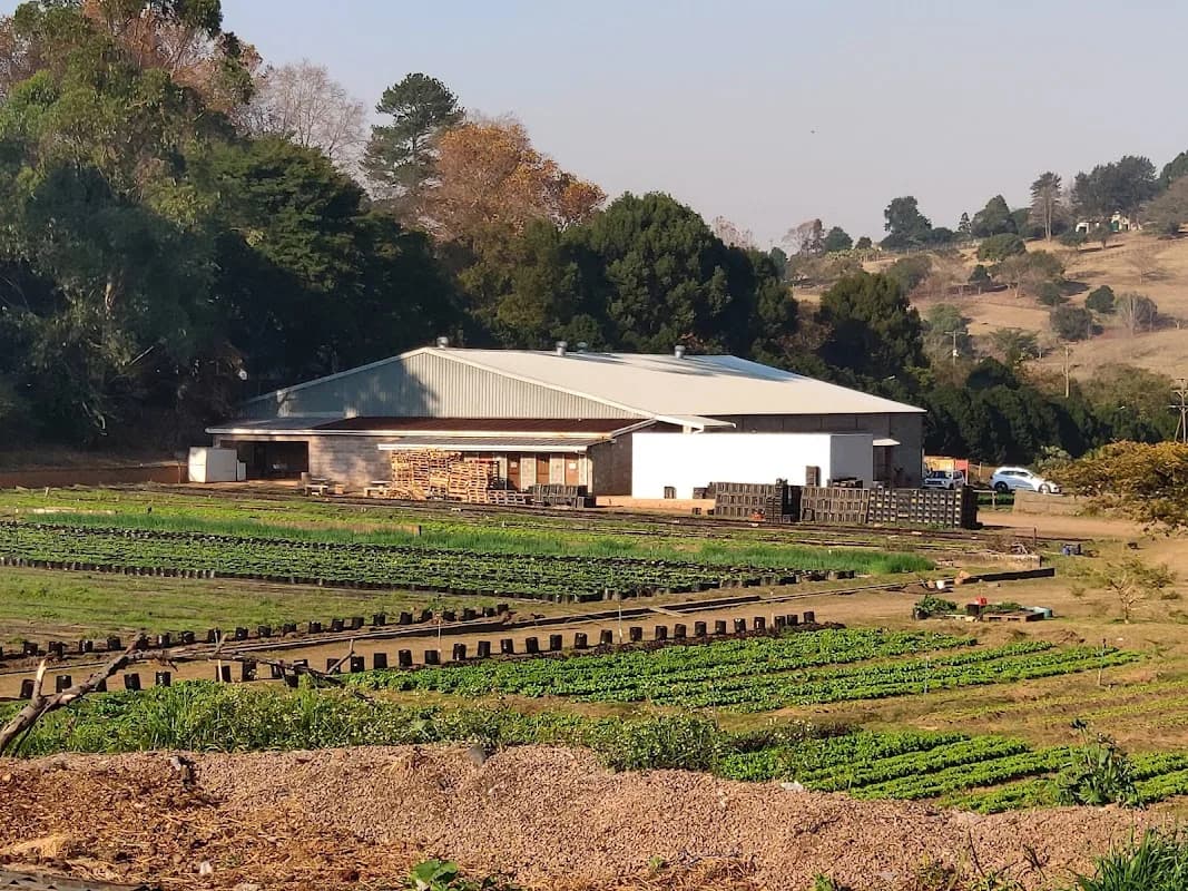 Waterfield Farm in Morningside