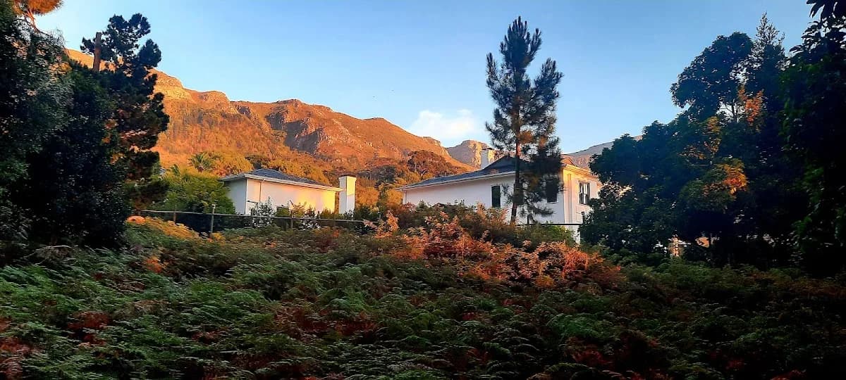 Claremont, Lynfrae, Harfield and Kenilworth Estate Agent; Teresa Snyman in Claremont