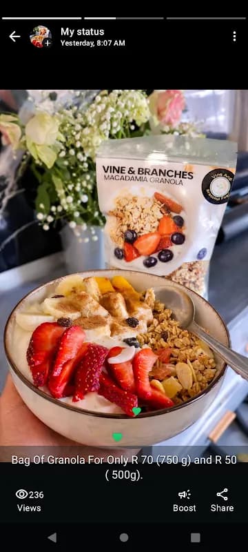 Vine And Branches Foods in Attridgeville