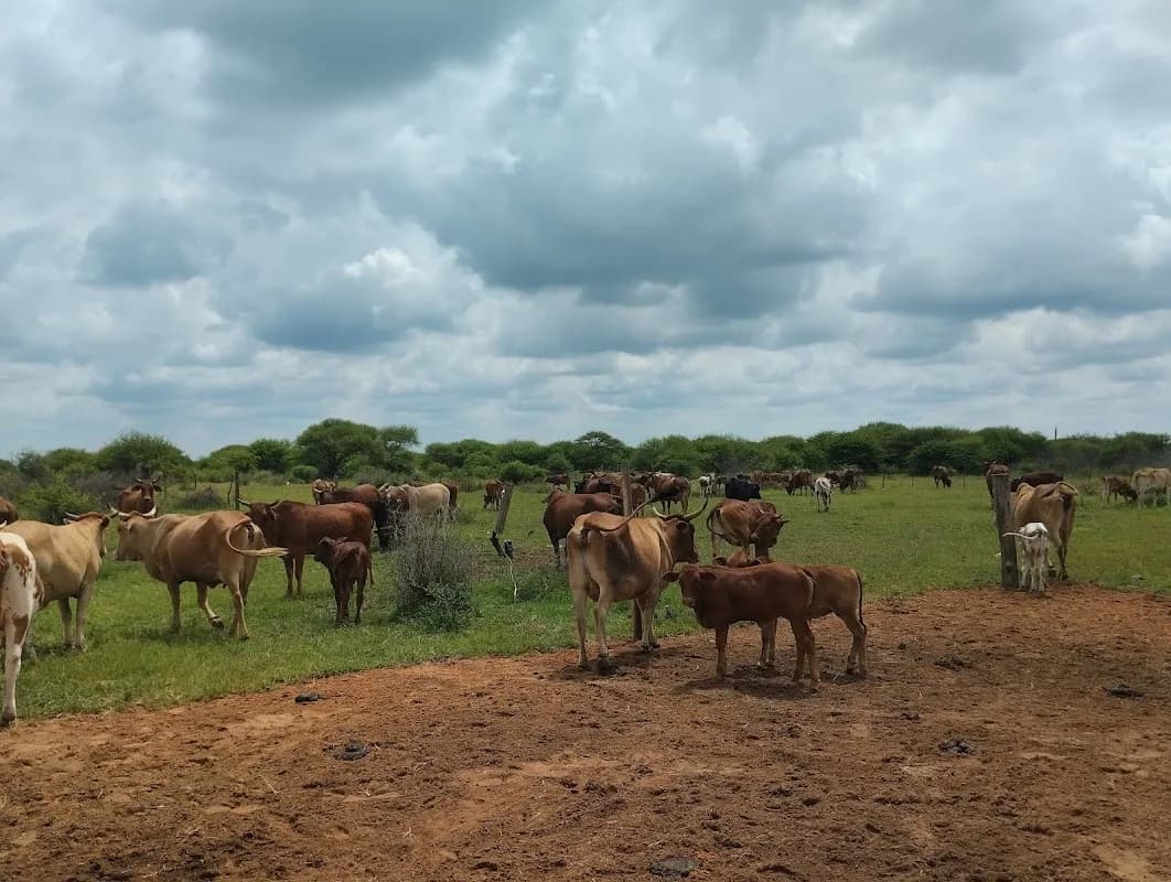 Agricultural Training in The Moot
