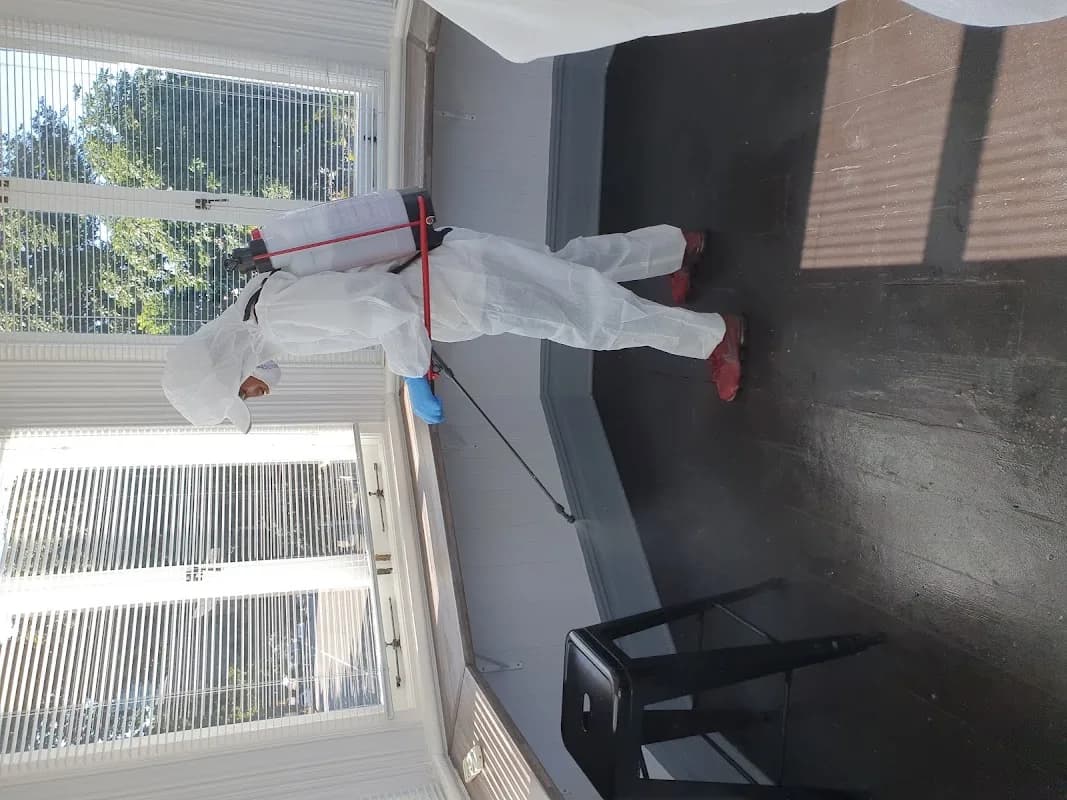 Classic Cleaning in Morningside