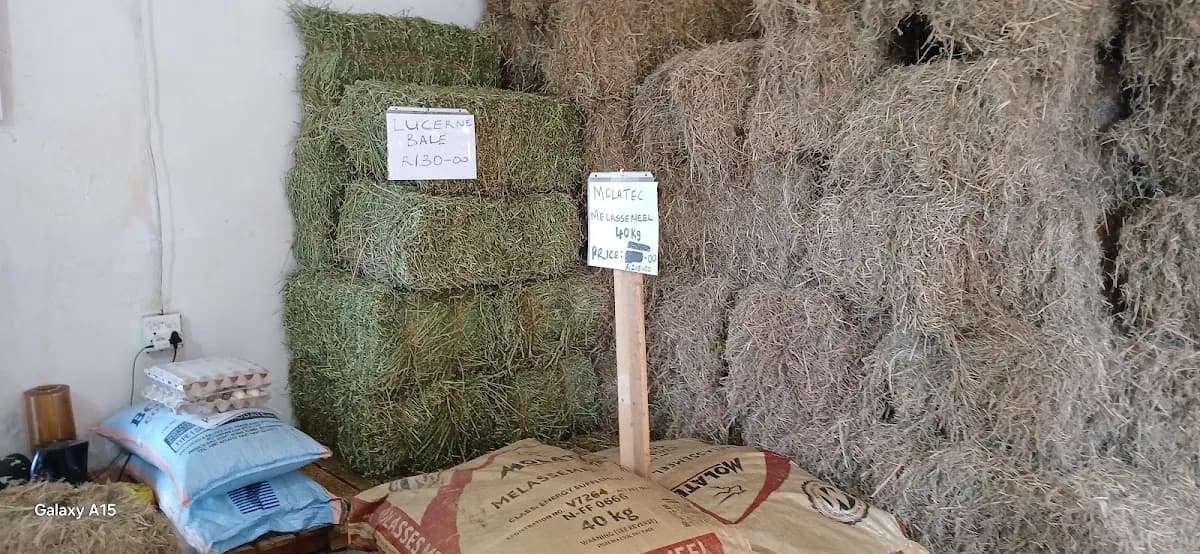 AgriJoy Feeds in Mahikeng CBD