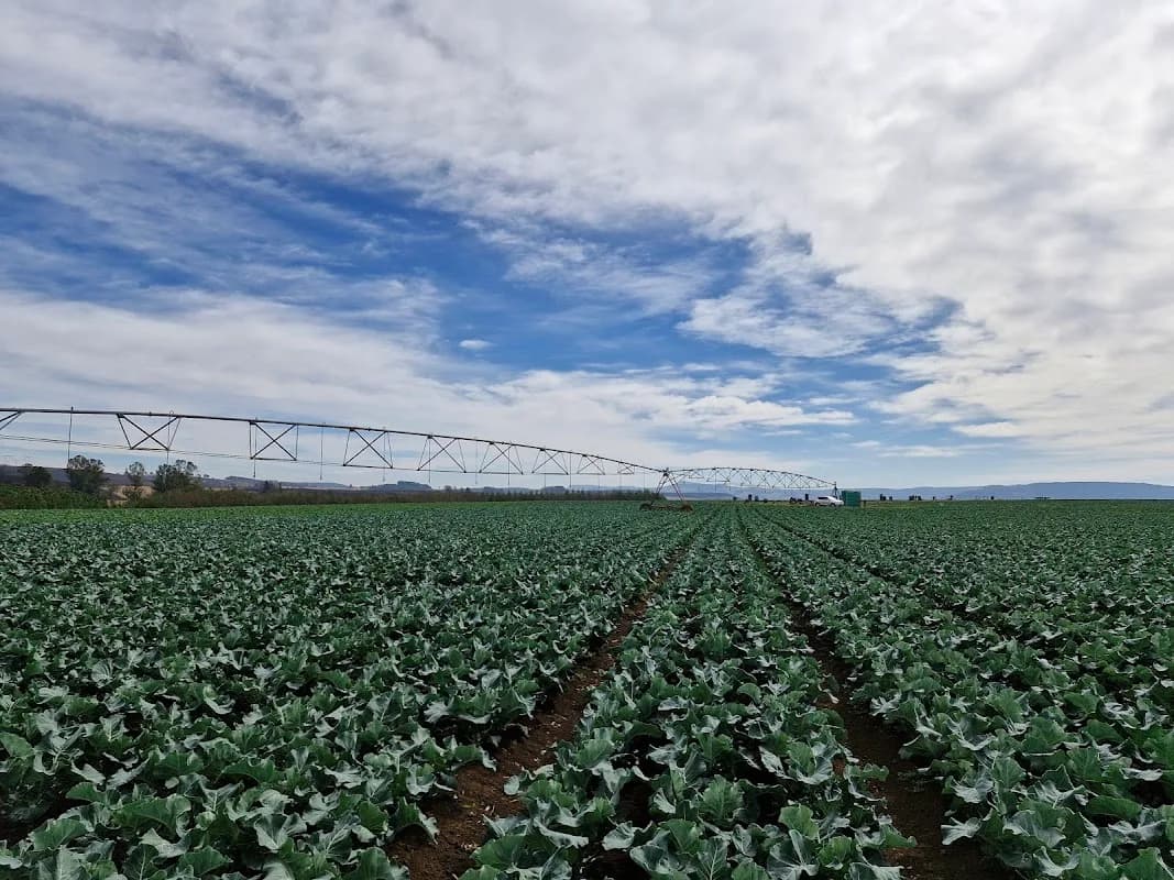 Eco-Agri Consultants CC in Pietermaritzburg CBD