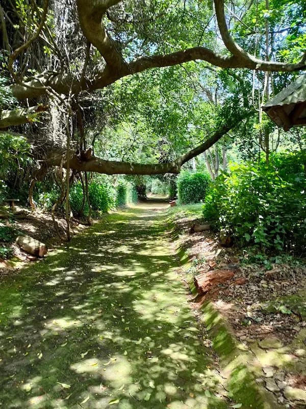 Pigeon Valley - Main Gate in Glenwood