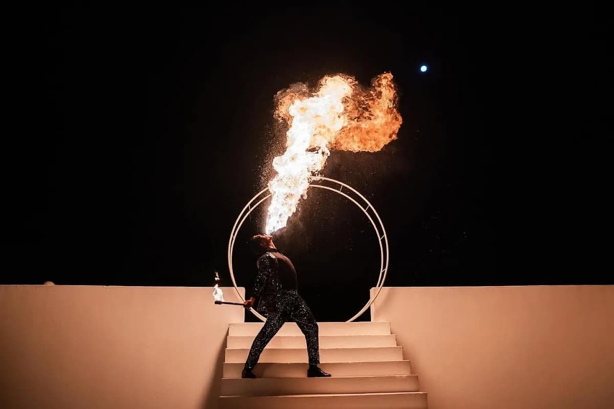 ENTERTAINMENT ON FIRE! - Live Entertainmen in Florida