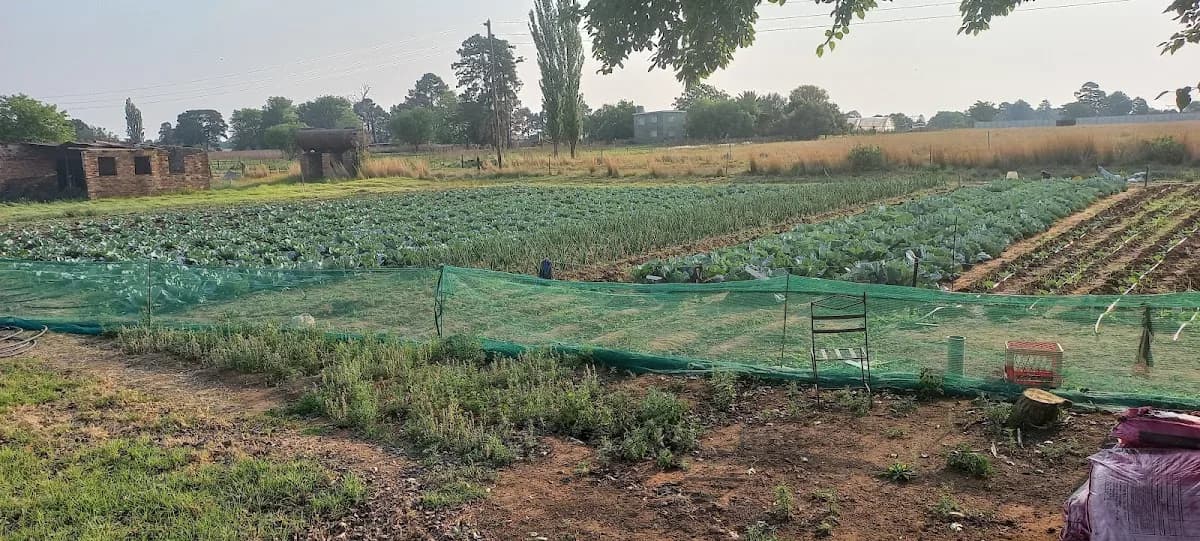 Africa2Africa AgriFarm in eMalahleni CBD