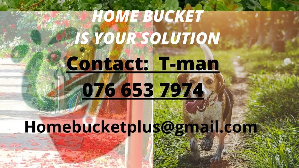 Home Bucket Franschhoek in Franschhoek