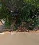 Van Rooy Booysen S G in Glenwood