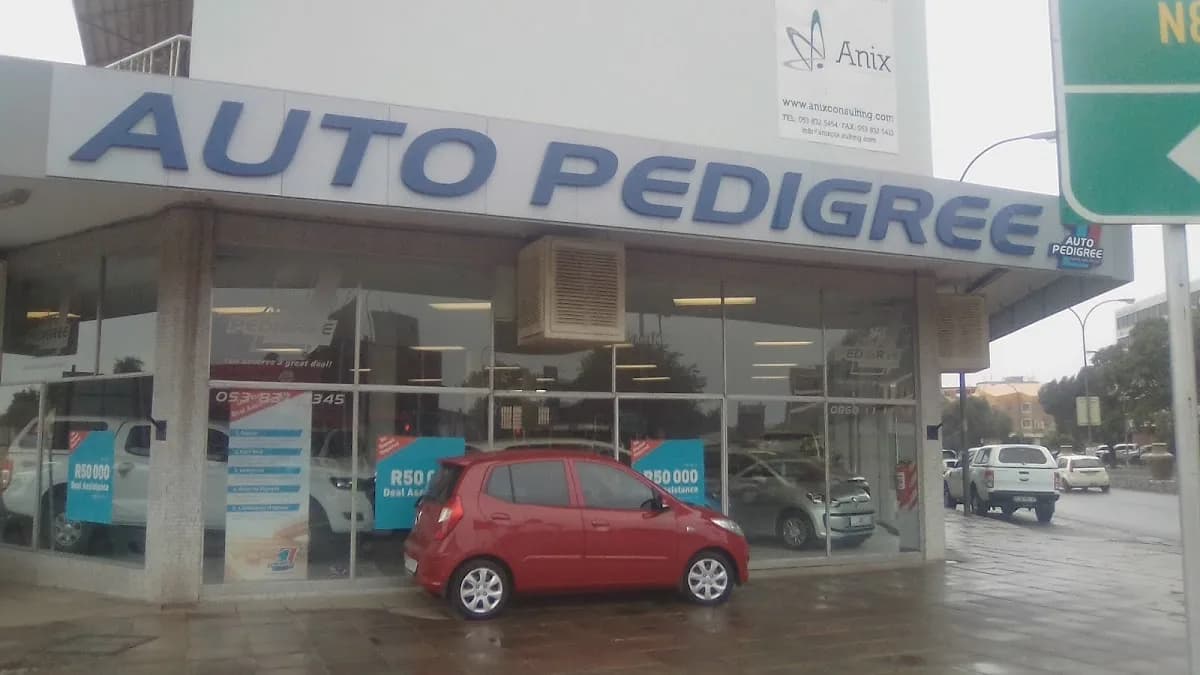 Auto Pedigree Kimberley in Diamond Pavilion