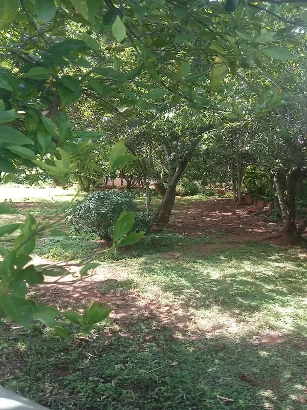 Royal Guest House in eMalahleni CBD