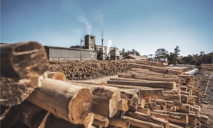 Evowood in Westville