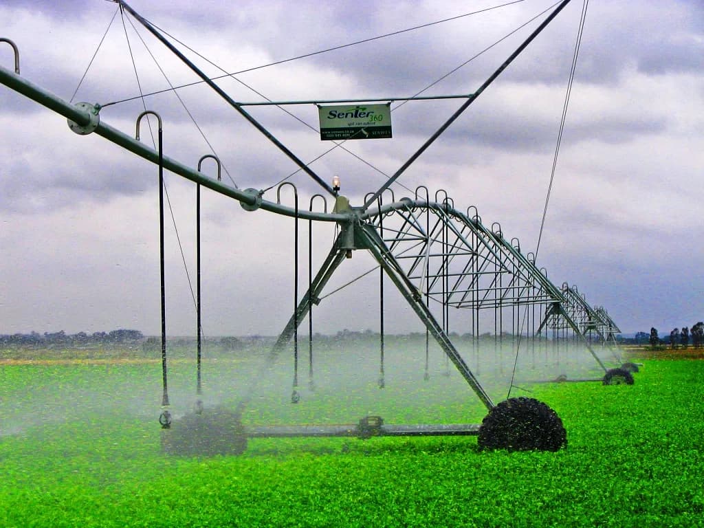 Rapid Agriculture in Pietermaritzburg CBD