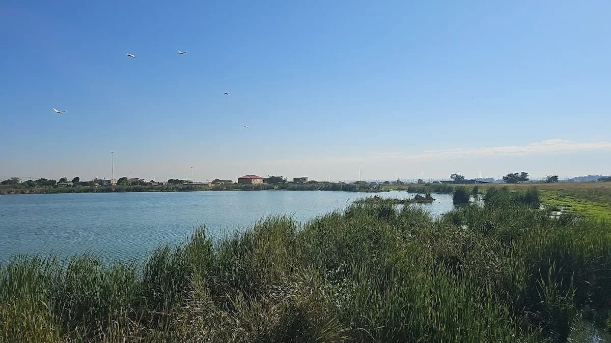 Tembisa lake in Esther Park