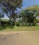 7 Streams Business Solutions in Northcliff