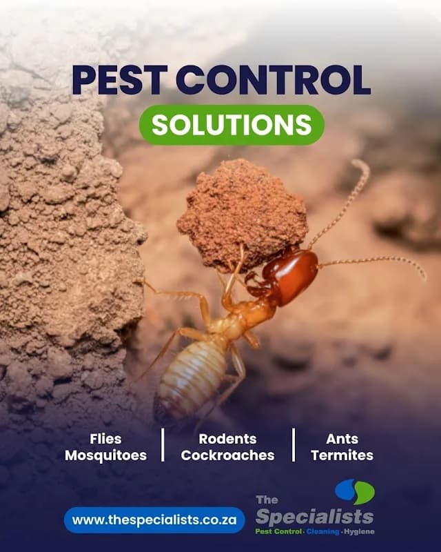 Pest Control Specialists™ Pinetown in Pinetown CBD