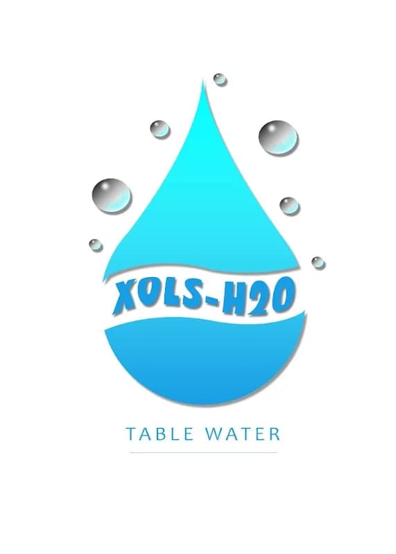 XOLS H20 TABLE WATERS in Bwari