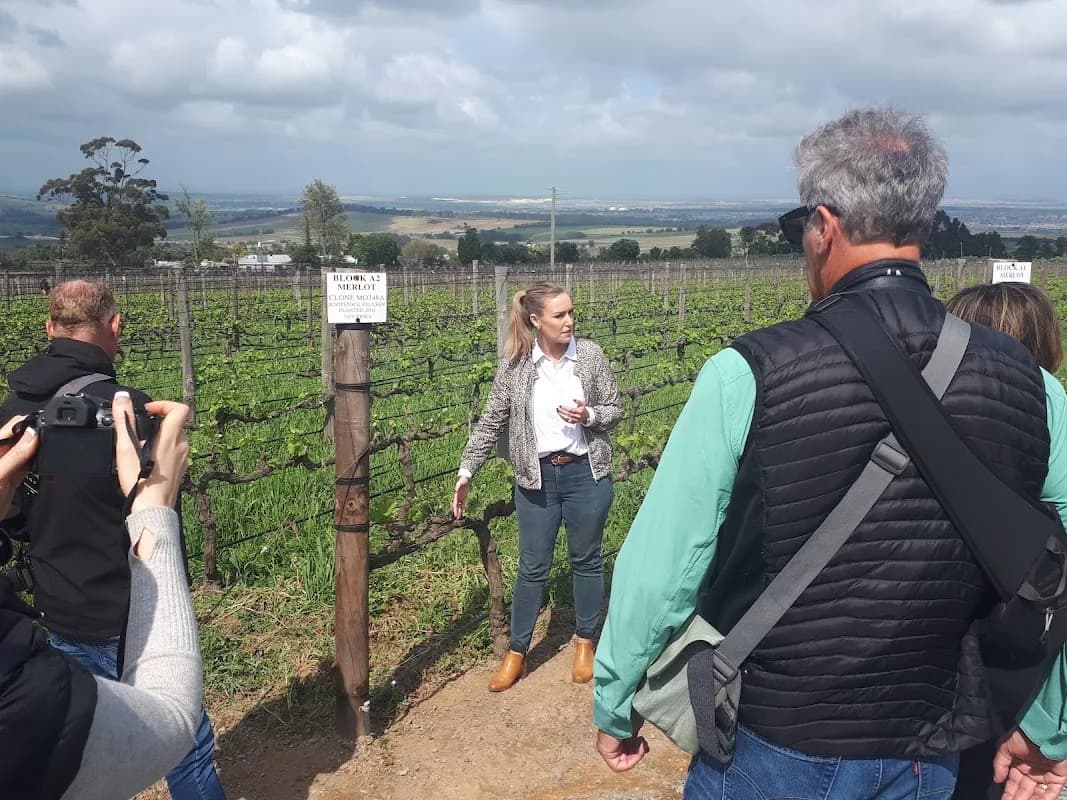 Connect Travel SA Wine Tours in Die Boord
