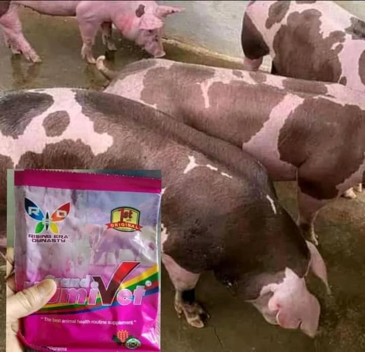 Danwaire Farms in Garki Area 1