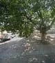 Knowles Mans Haarkapper in Sasolburg CBD