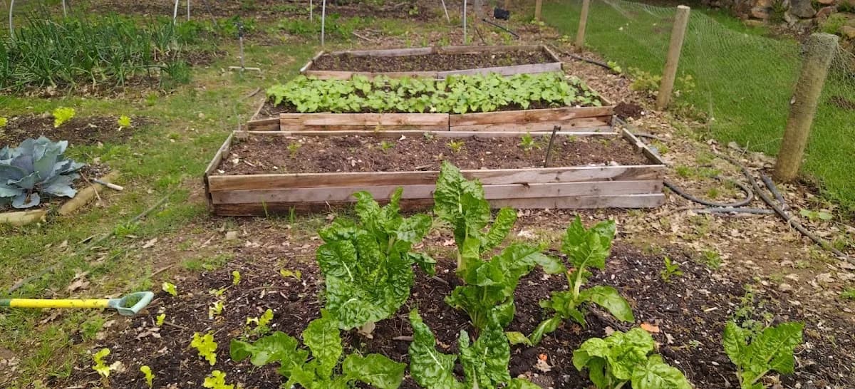 Agrivision Foundation in Die Boord
