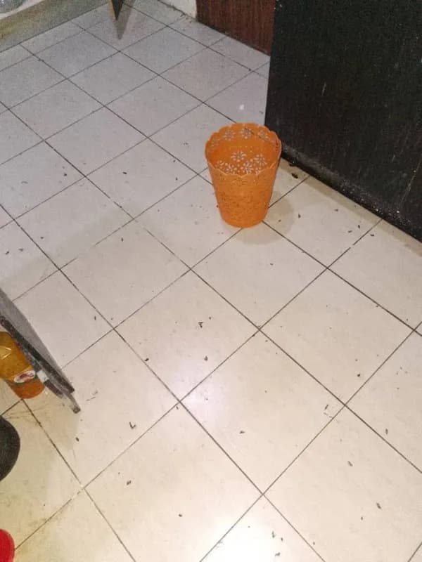 HandO Cleaning services Ltd in Orozo