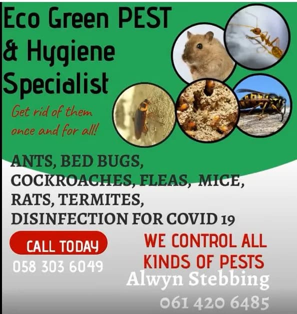 Eco Green Pest & Hygiene Specialist Bethlehem Branch in Bethlehem CBD