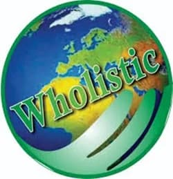 Wholistic Nigeria Ltd in Gwagwalada
