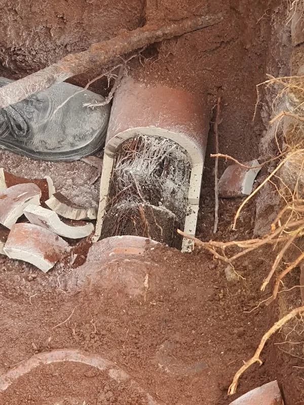 Drain Brothers in Bedfordview