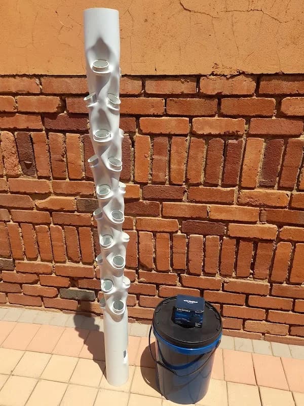 Queen's Eggs in Mamelodi
