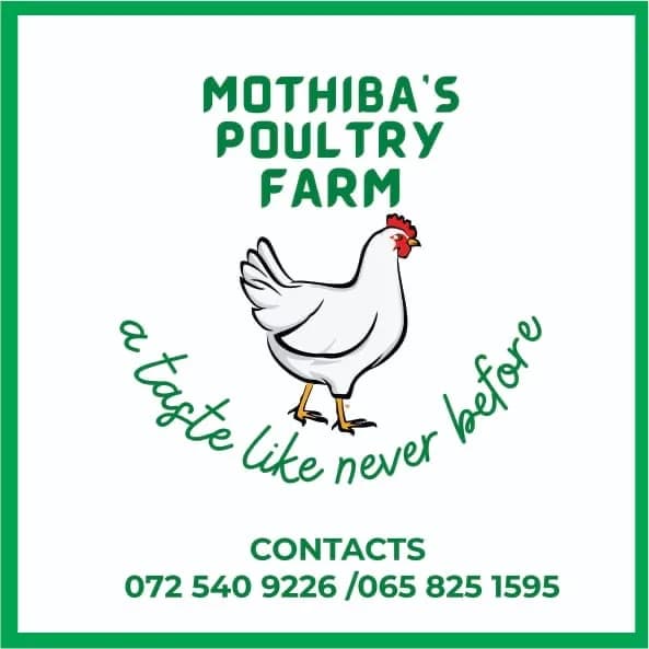 Mothiba’s Poultry Farm in Polokwane CBD