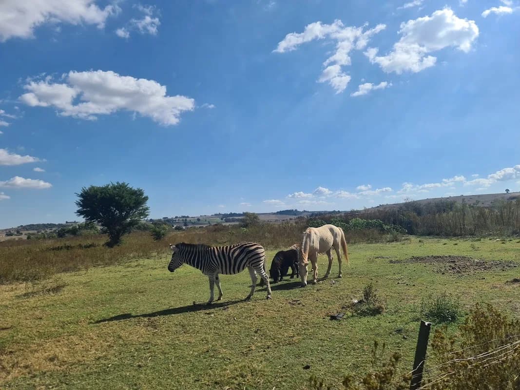 Cradle Farms in Krugersdorp CBD