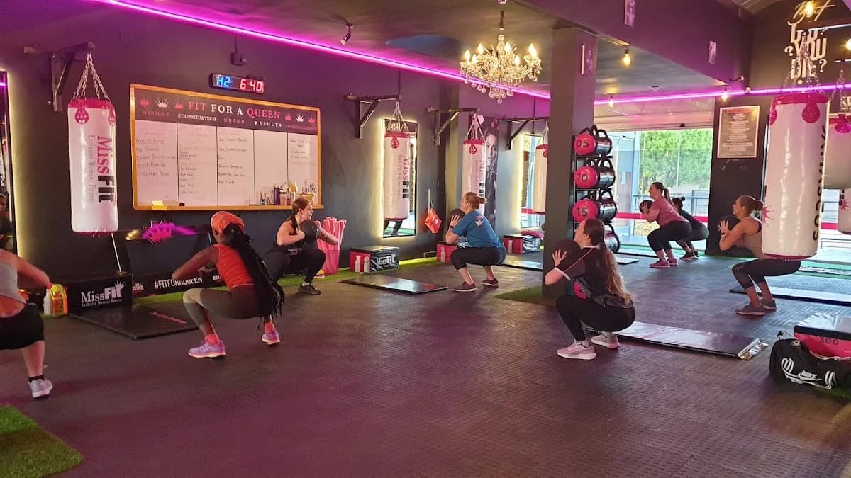 Missfit Boxing Zwartkop in Highveld