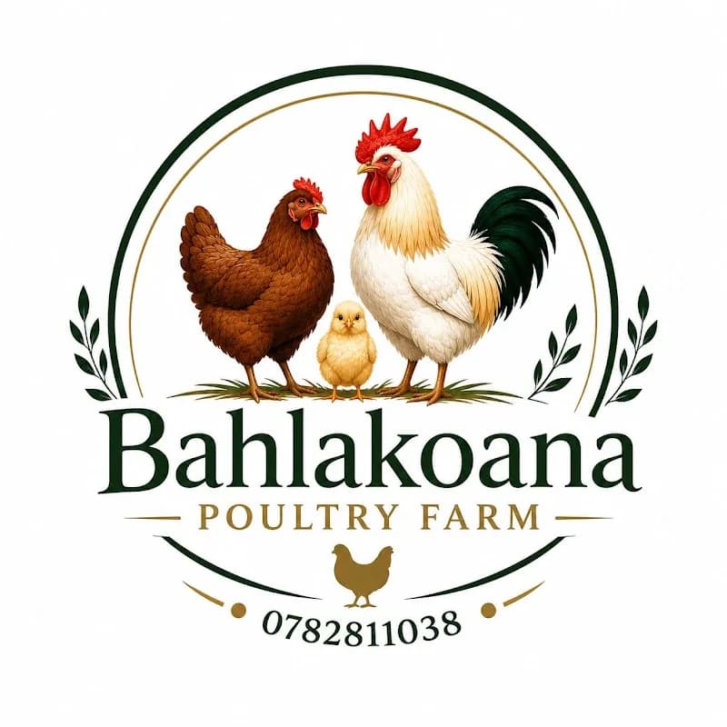 Bahlakoana poultry farm in Benoni